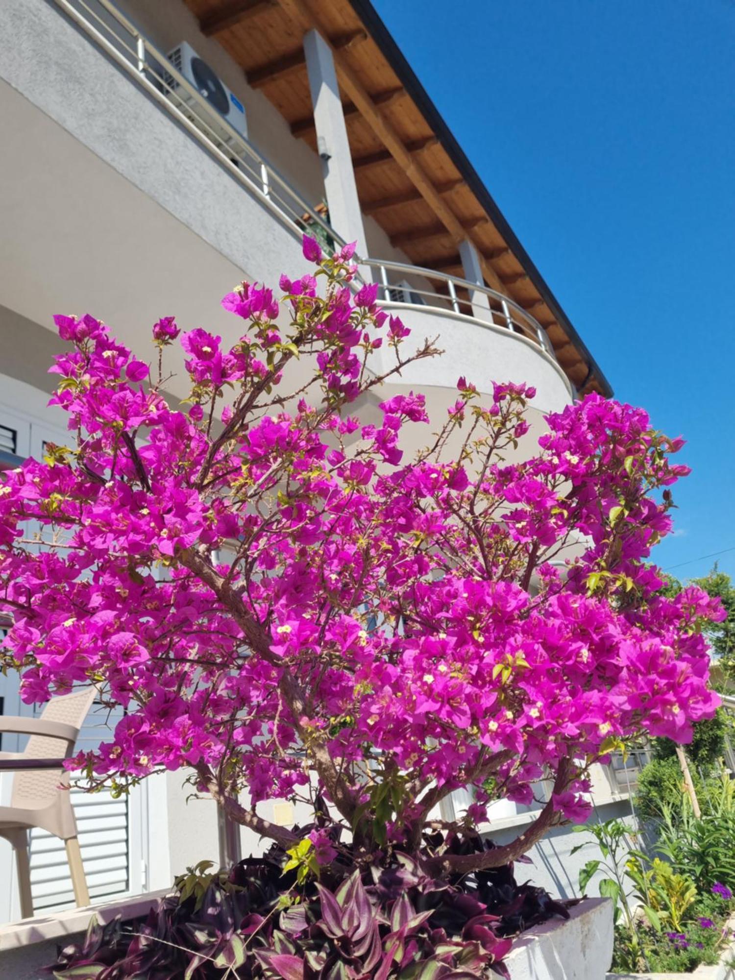 Vila Soleil Vlorë Екстериор снимка